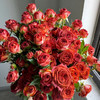 多头玫瑰 巧克力泡泡 商品缩略图0