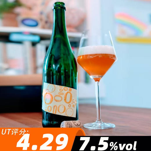 发酵形式 非正式8号 750ml 商品图0