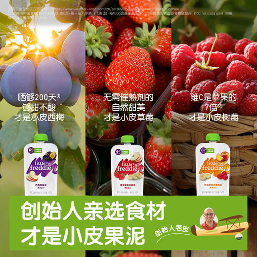 【专享】小皮果泥10袋装 商品图5