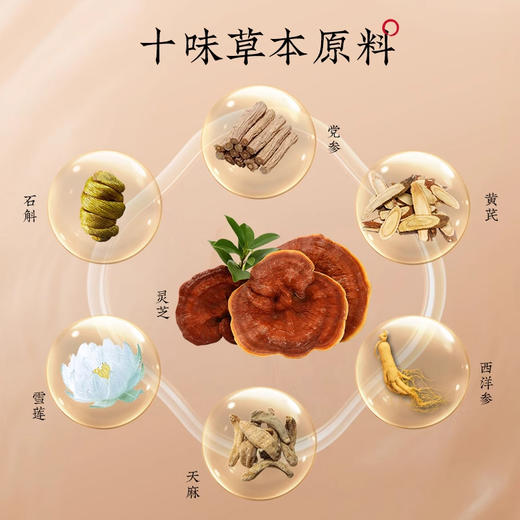 杜江南·西洋参灵芝黄芪膏 180g  精研配比 温和滋养 便携即享 商品图2