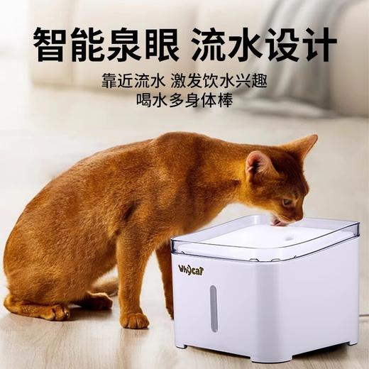 whycat饮水机自动循环静音过滤喂水器 商品图2