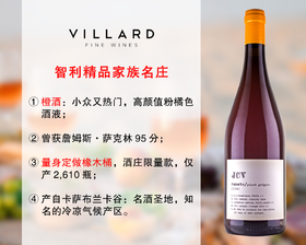 【现货特促，整箱更优惠】智利10大家族名庄：维拉酒庄灰皮诺橙酒（2024年）