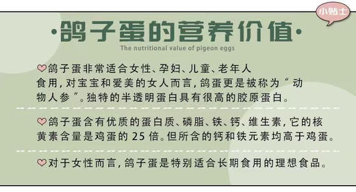 新鲜鸽子蛋，营养价值见图，10枚/盒 商品图3