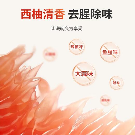 传化西柚去腥洗洁精 1kg*2 商品图3