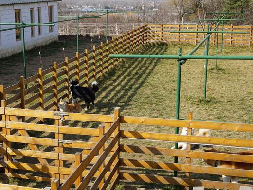 【美团】草坪门票 商品图0