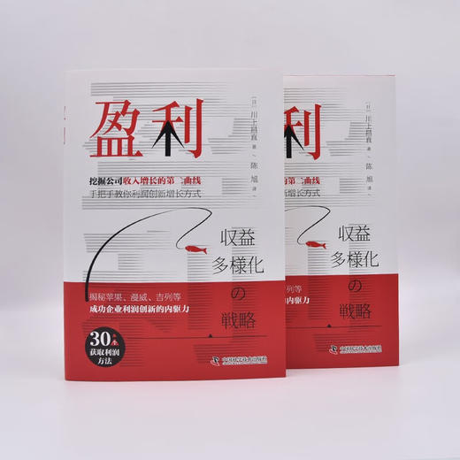 盈利：一本书讲透如何实现企业收益多样化 商品图4