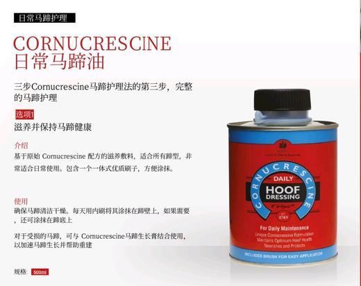 比赛马匹养护套装-马匹去污洗发液 洗草渍马房污渍 洗浅色马匹CDM 商品图6