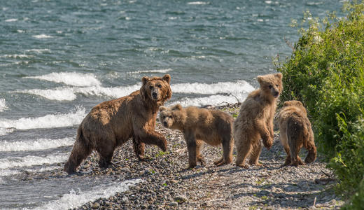 小地球2025堪察加“山河湖海” 8天7晚 商品图8