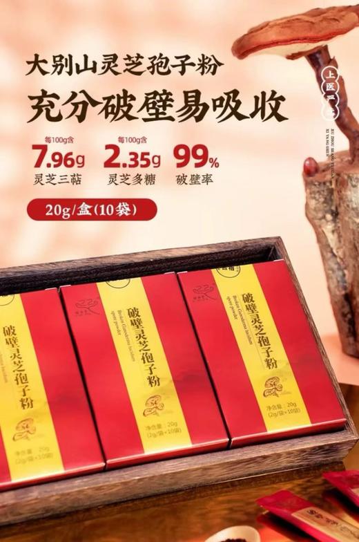 【春季养肝时】 解肝组合 长期饮酒、慢性肝病 免疫低下 亚健康 破壁灵芝孢子粉20g*3盒+三七粉90g/瓶 商品图2