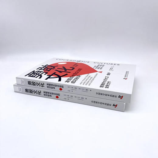勇敢文化：发掘成长型企业的成功秘诀 商品图7