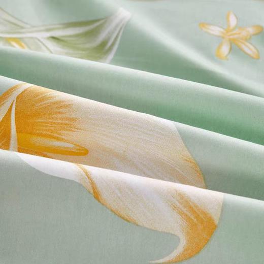 路易卡罗彩悦纯棉四件套 200*230cm 商品图2