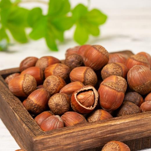 东北榛子 商品图1