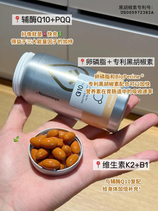 不打烊！高阶版辅酶！添加PQQ成分！低至💰259元/瓶！荃网最低价！官旗458/瓶！挪威进口Noromega辅酶q10软胶囊60粒 日期28.1 商品图6