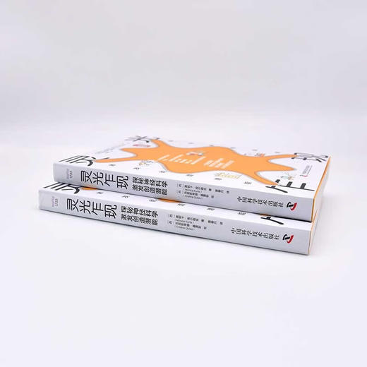 灵光乍现：探秘神经科学，激发创造潜能 商品图7