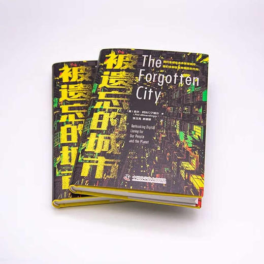 被遗忘的城市：指明未来城市发展的道路（精装典藏版） 商品图5