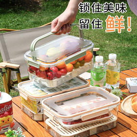 【醒粉福利24.9元2个】食品级手提保鲜盒 蔬菜水果储物盒 可沥水分隔
