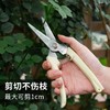 园艺剪 修枝剪 花剪 园林剪 花艺剪 剪树枝果树剪刀 枝剪修剪花卉剪子 1把 商品缩略图2