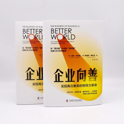 企业向善：实现再次繁荣的领导力革命（精装典藏版） 商品图5