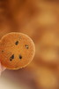 芝麻薄脆（16点之后陆续出） 商品缩略图1