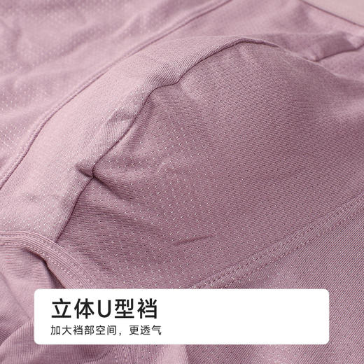 都市丽人简约基础棉平角空气棉平角裤FKHC25 商品图7