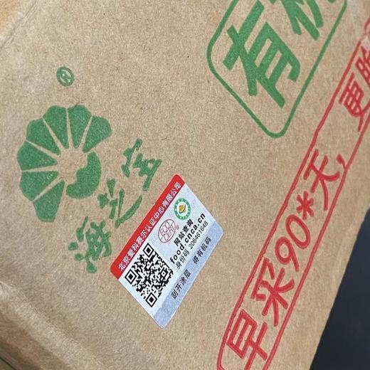 出口级有机海带  5斤装 商品图6