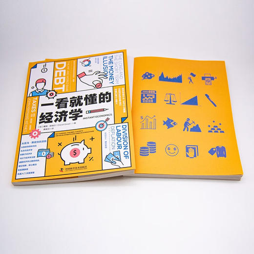 一看就懂的经济学 用160个经济学主题一览经济学的发展脉络（精装典藏版） 商品图7