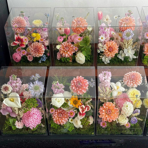 《春日桃桃》亚克力透视花盒 商品图1