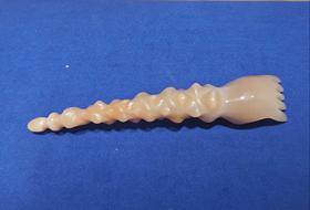 莲蓬海参按摩指