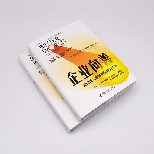 企业向善：实现再次繁荣的领导力革命（精装典藏版） 商品图4