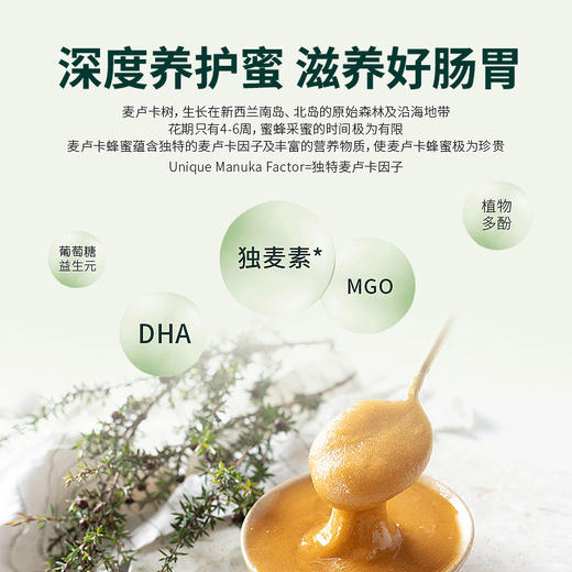 comvita 康维他 麦卢卡花蜂蜜（UMF15+）250g 商品图1