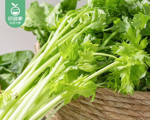 【叼鲜蔬】潮汕新鲜小香芹/1份（约200g） 商品图1