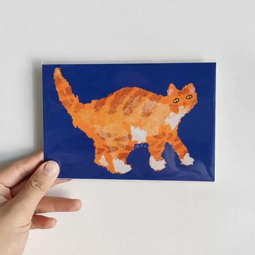 猫咪明信片 随机发 商品图6