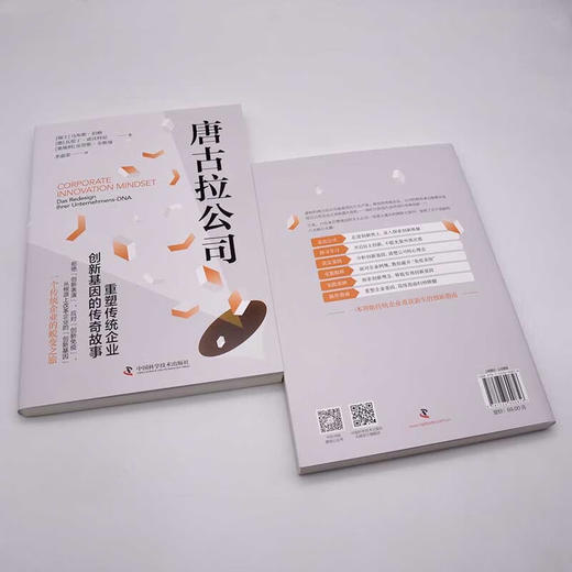 唐古拉公司:重塑传统企业创新基因的传奇故事 商品图7