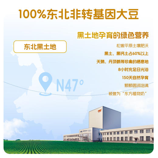 【囤货装】纯豆浆粉900g罐装大容量 高蛋白营养早餐 商品图4