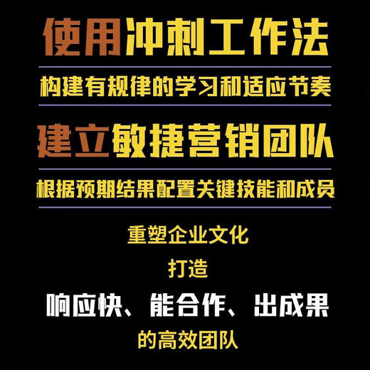 敏捷营销：数字化时代的企业营销转型指南 商品图3