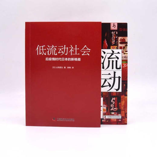 低流动社会：后疫情时代日本的新格差 商品图7