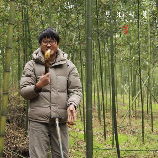 生态雷竹笋（基地直发-顺丰包邮 ）｜4.5斤/箱，来自四川蒲江，生产者：张家银【合作生产，公平贸易】 商品图13