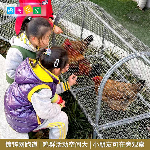 幼儿园地笼鸡组合室外鸡笼跑道隧道养殖溜达鸡农场鸡宠物笼子鸡舍 商品图3