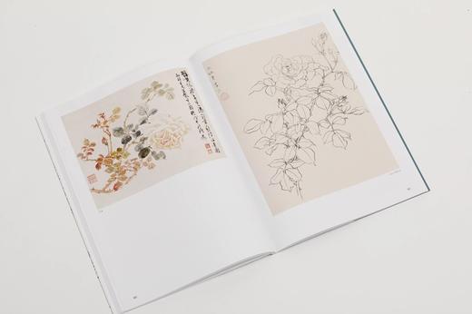 《大师课堂：陆抑非白描写生画稿》张渊编著 陆抑非 绘 商品图8