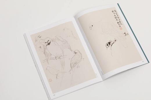 《大师课堂：陆抑非白描写生画稿》张渊编著 陆抑非 绘 商品图10
