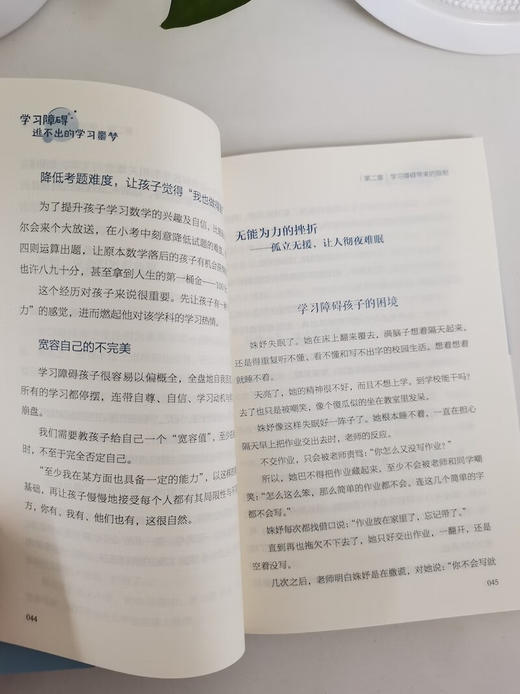学习障碍：逃不出的学习噩梦 商品图2