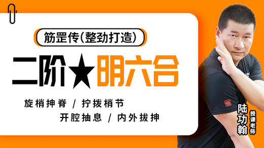 【整劲打造】二阶——明六合 商品图0