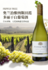 完税  澳大利亚酒  胡椒树单一园系列奥兰治维纳斯田霞多丽干白葡萄酒2022 商品缩略图0