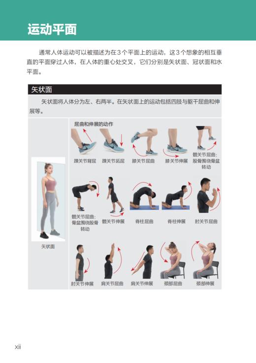 “人体运动彩色解剖图谱”系列（全3册）：《健身房训练彩色图谱》《力量训练彩色图谱》《无器械训练彩色图谱》 商品图14