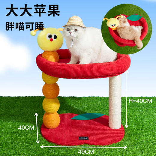噗扑实验室  毛毛虫吃苹果猫爬架猫抓板猫窝 商品图3