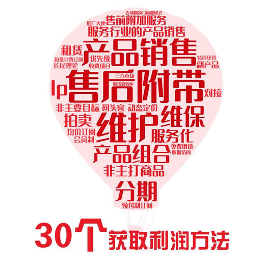 盈利：一本书讲透如何实现企业收益多样化 商品图2