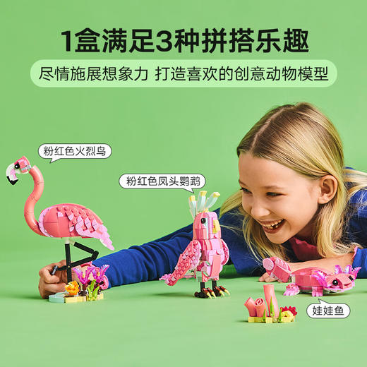 乐高LEGO 野生动物：粉红火烈鸟LEGC31170 商品图4
