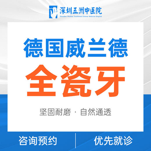 德国威兰德全瓷牙 商品图0