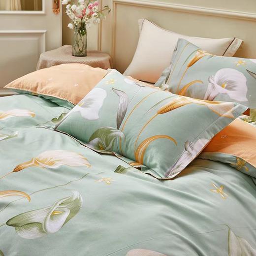 路易卡罗彩悦纯棉四件套 200*230cm 商品图1