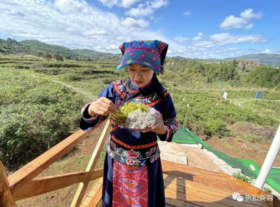 紧急通告：早起空腹吃它.气死癌细胞.三高降了.血管通了.精神好了.免疫力高50倍